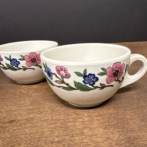 Vintage Sterling China company Floral Teacup Set - Pink and Blue
